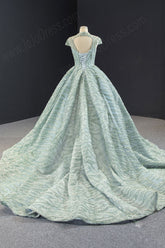 Sparkly Sage Green Black Tie Ball Gown Evening Dress RS2011